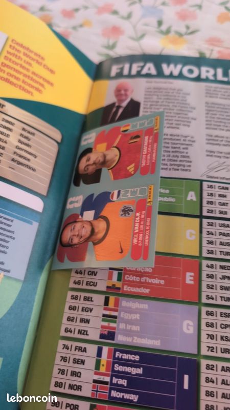 Album panini coupe du monde 2026 (image 2)