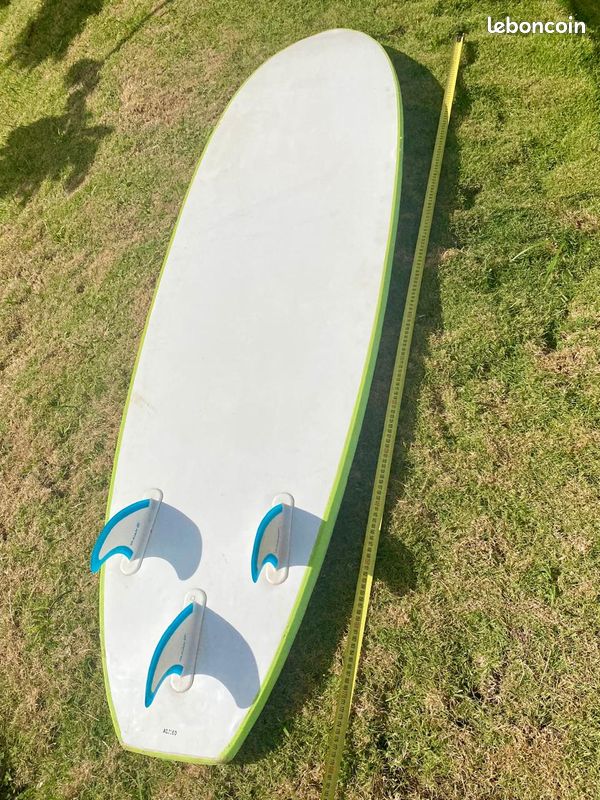 Vend planche de surf en mousse (image 2)