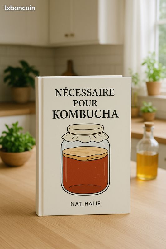 Kombucha 📦 Envoi Mondial Relay (image 1)