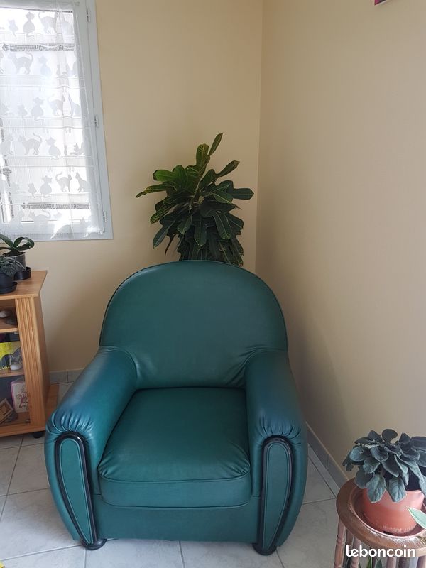 Fauteuil (image 1)