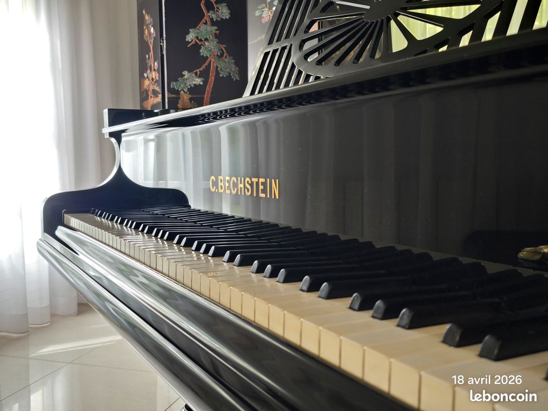 Piano quart de queue C. Bechstein model A 185cm (image 5)
