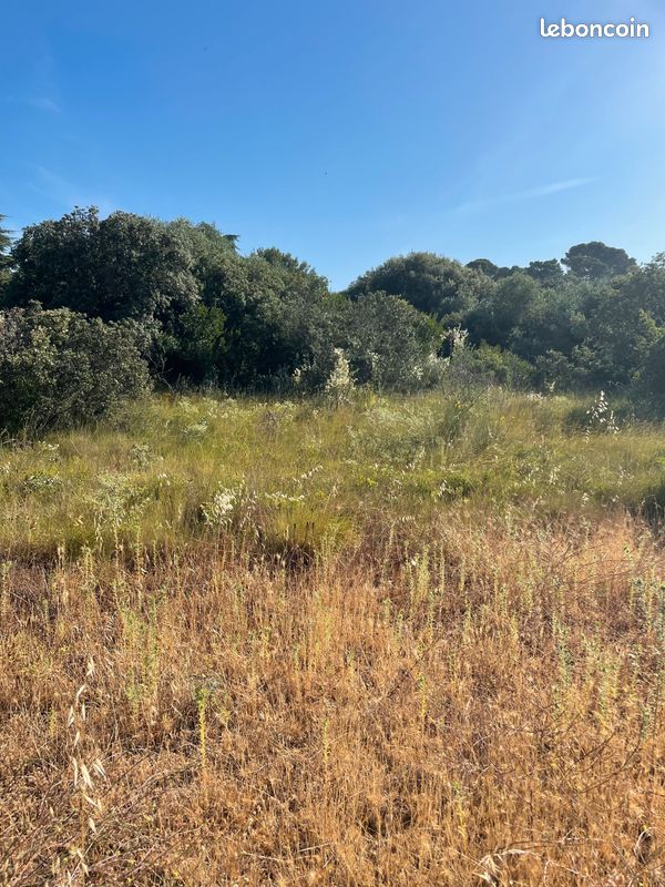 Terrain 1000 m2 Cap d’Agde · 74 000 €