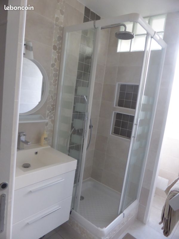 Petit T2 tout confort - Limoges 87100 (image principale 2)