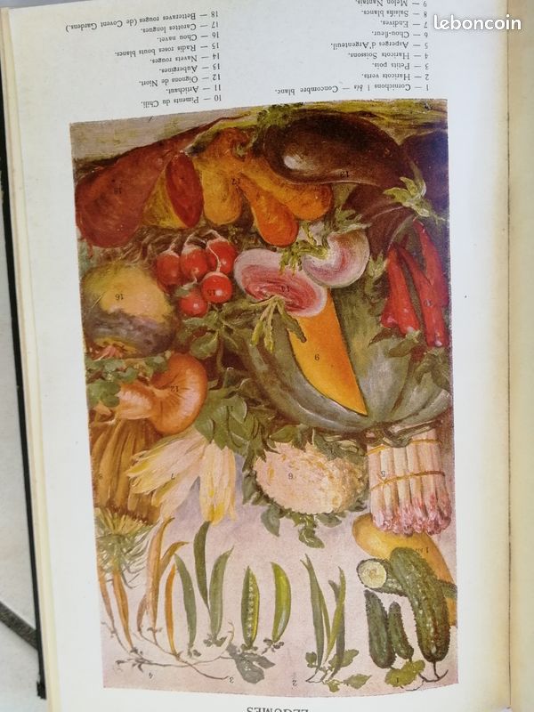 Livre cuisine vintage illustrée (image 5)