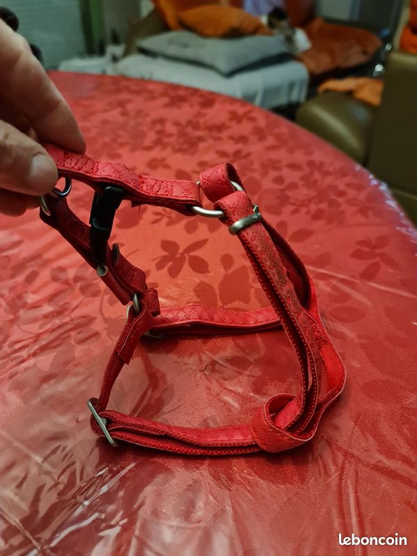 Harnais réglable chien moyen MacLeather (image 1)