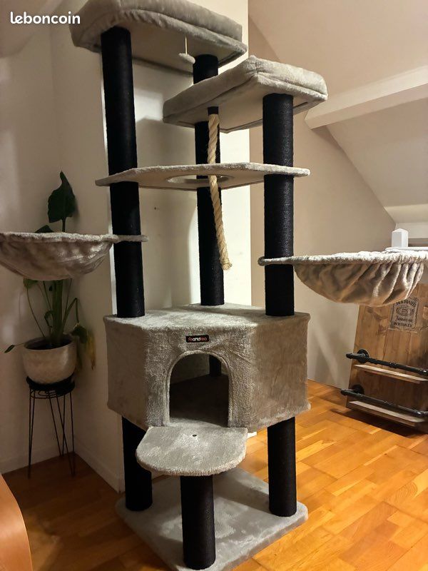 Arbre à chat (image 2)