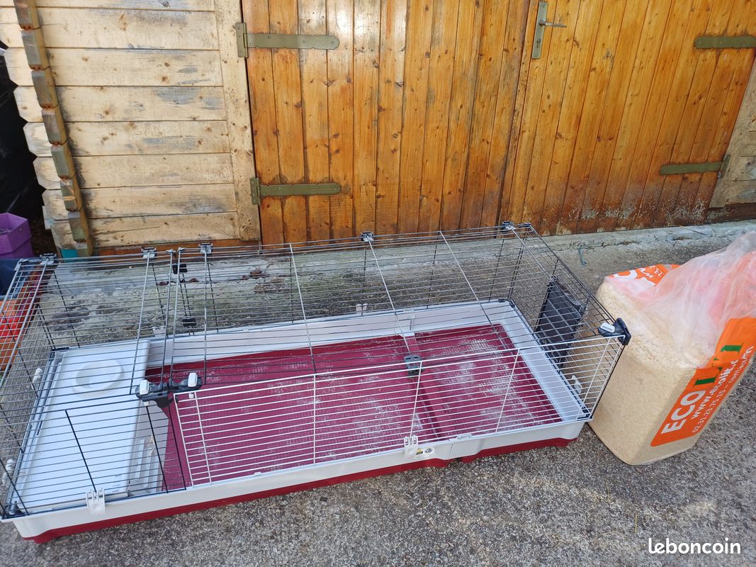 Grande cage pour lapin nain ou cochon d'inde (image 1)