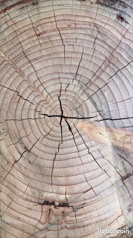 Tables basses & tabourets en bois massif – pièces uniques (image 3)