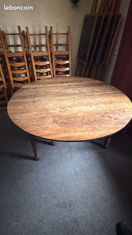 Table avec 4 ralonges 20 places (image 2)