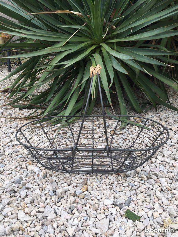Corbeille à fruit (image 1)
