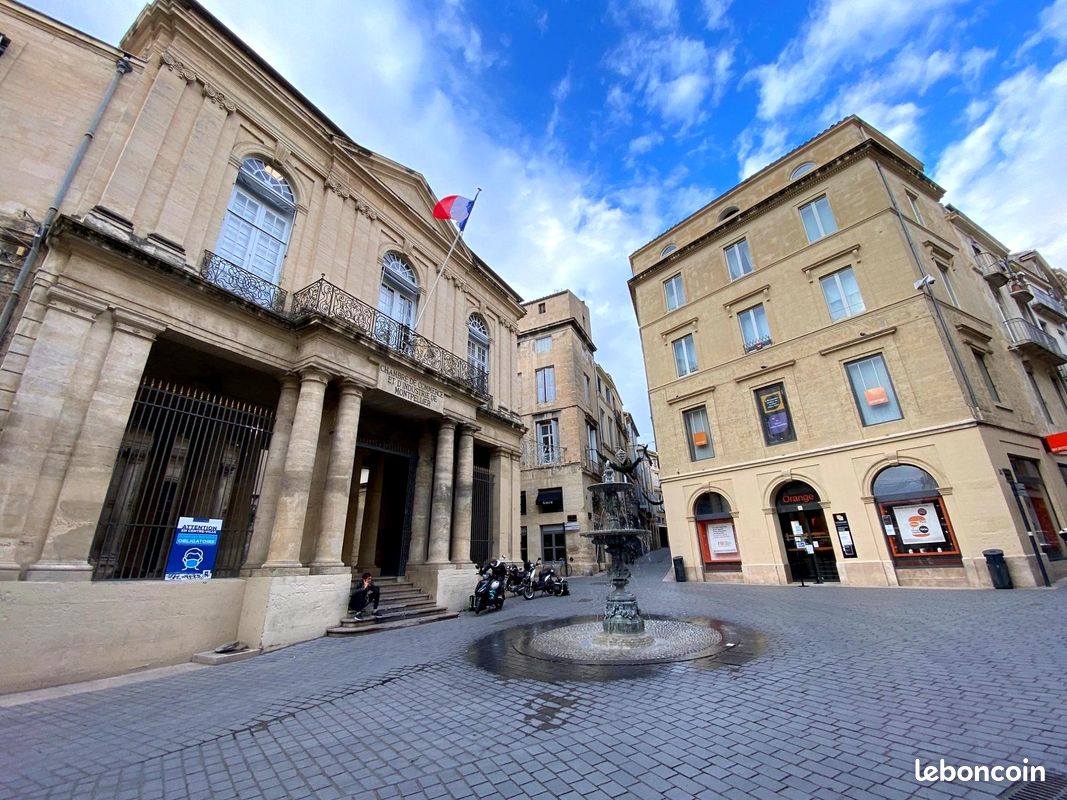 Appartement 1 pièce 18 m² · à Montpellier · 18 m² · 402 €