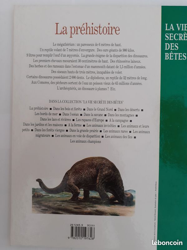 La préhistoire (image 4)