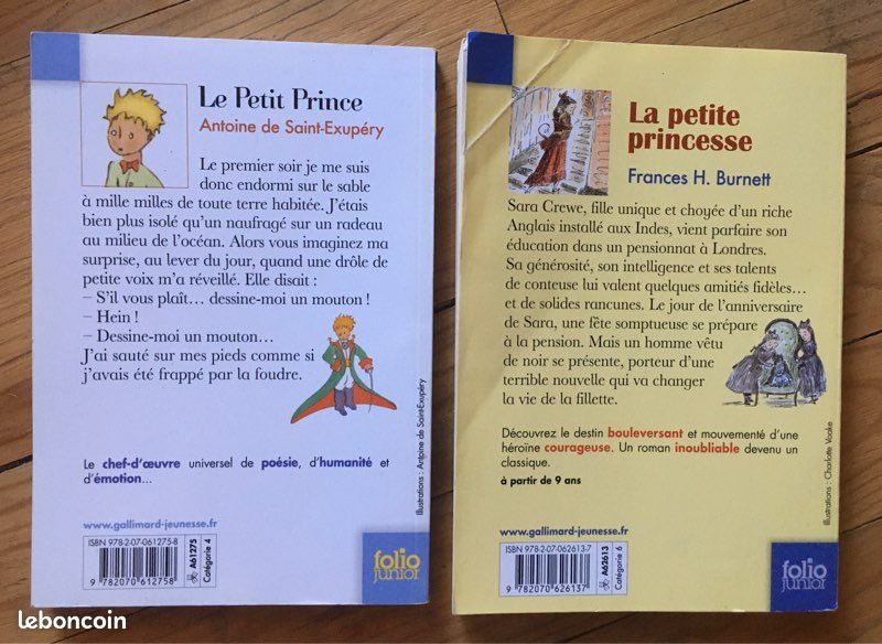 Roman Le petit prince et le petite princesse (image 4)