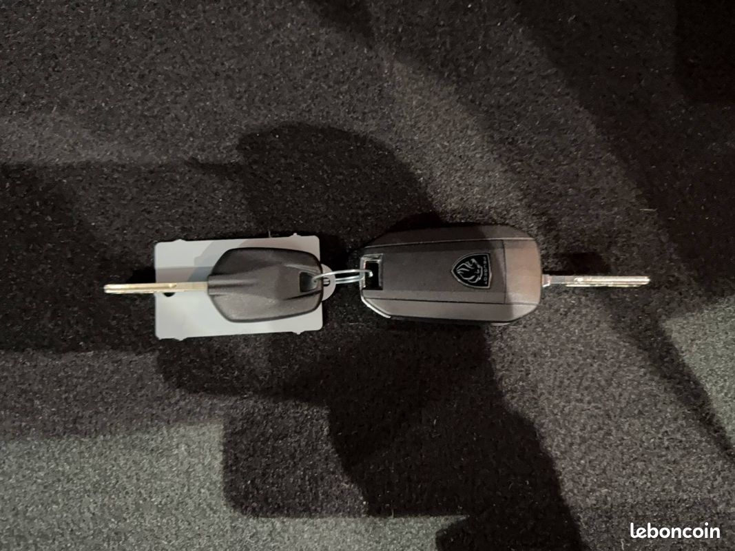 PEUGEOT 2008 PureTech 100 S&S BVM6 Active (image 15)