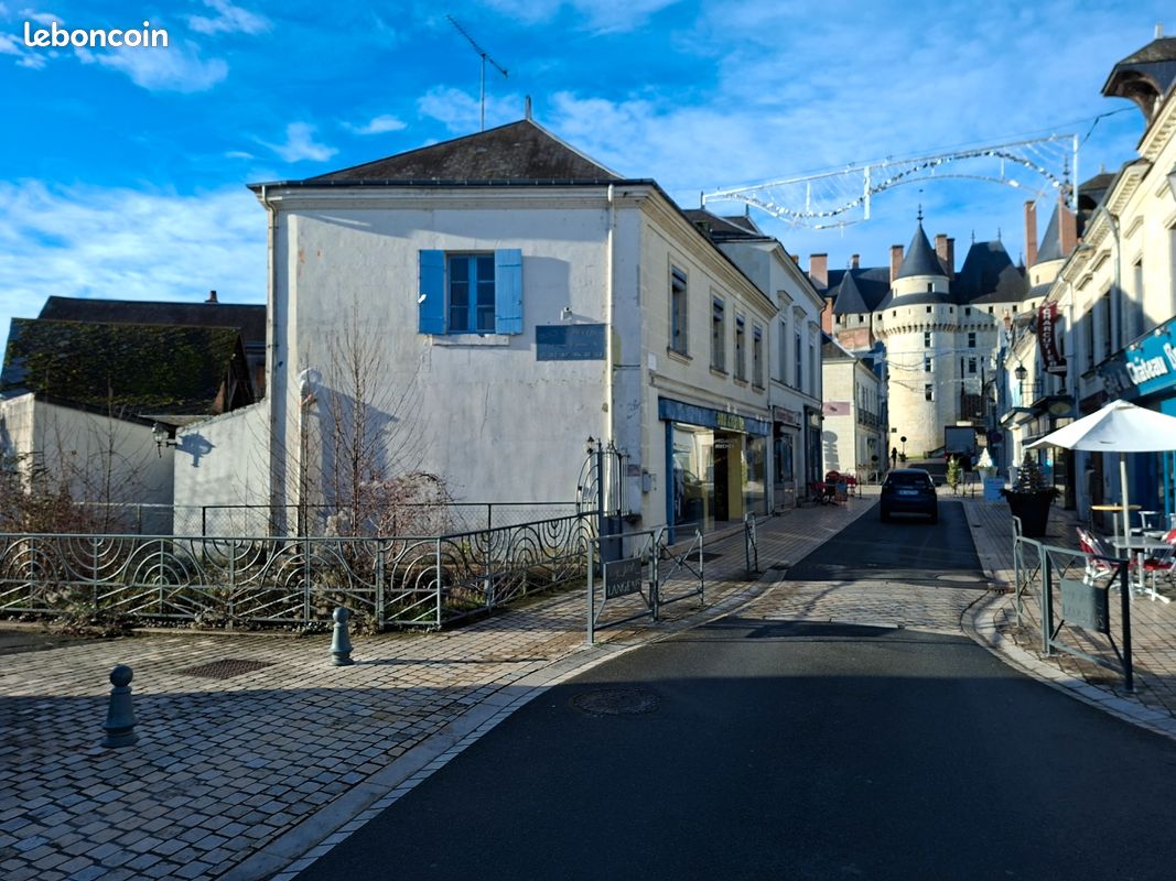 Local commercial 4 pièces 150 m² · à Langeais · 150 m² · 320 000 €