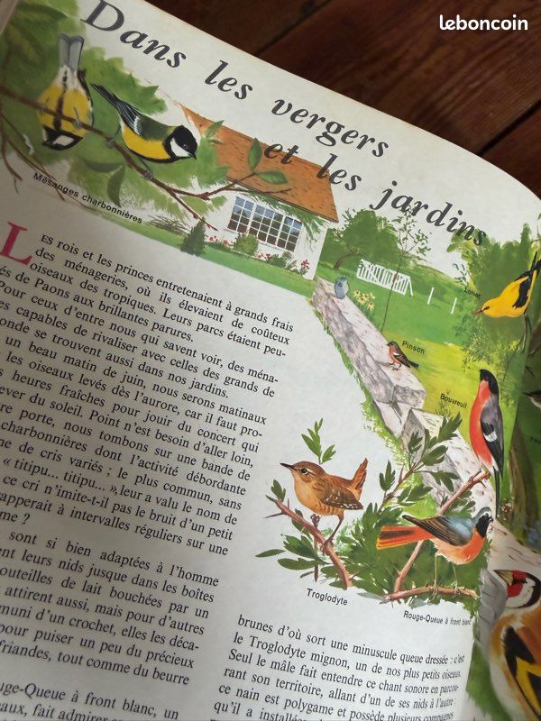 TBE - Pierre Probst auteur Caroline livre Le monde des oiseaux encyclopédie en couleurs Hachette (image 3)