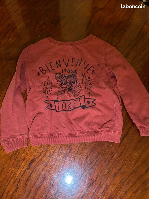 Pull 5 ans (image 1)