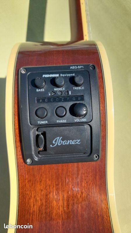 Guitare électro Ibanez (image 2)