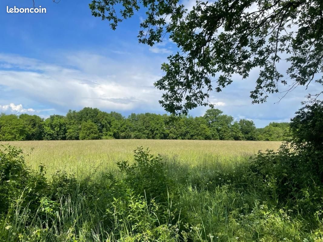 Terrain à bâtir de 743 m² à PRIGNAC-ET-MARCAMPS (33) · 60 000 €