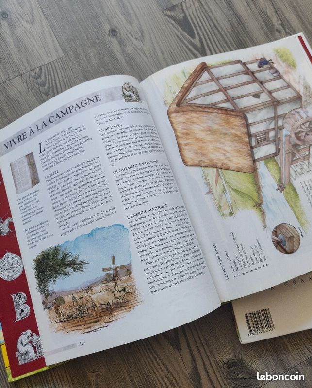 Livres d'histoire : le Moyen Âge et les Gaulois (image 3)