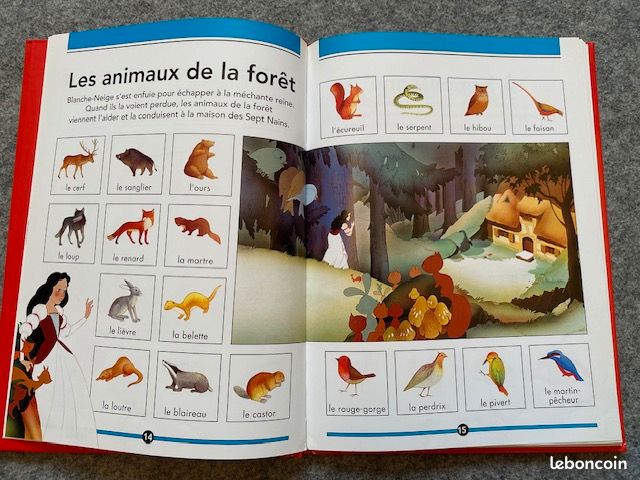 Mon livre de mots (image 4)