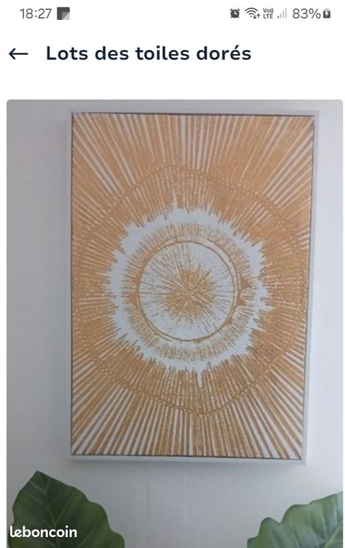 Lots des deux toiles dorés (image 3)
