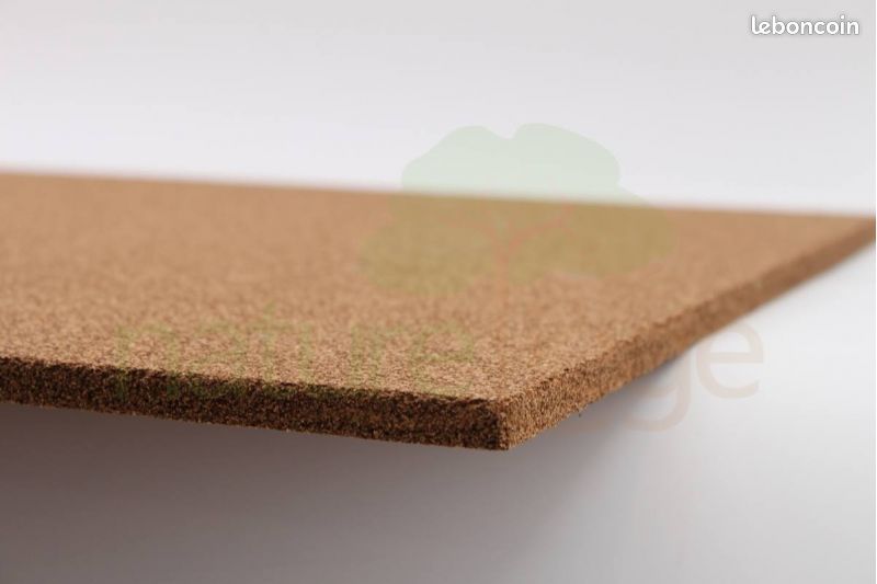 Boite De 10 Plaquettes Revêtement Diamant 30 X 5,5 X 1,1 - 4 Coupes