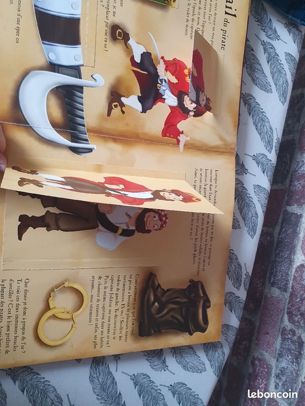 Le grand guide des pirates (image 3)