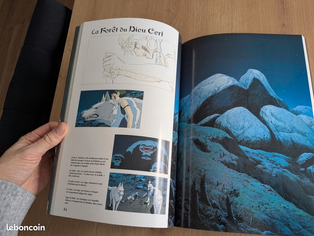 Princesse Mononoke - Le livre du film (image 4)