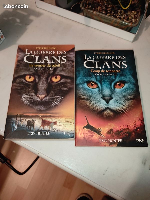 La guerre des clans (image 1)