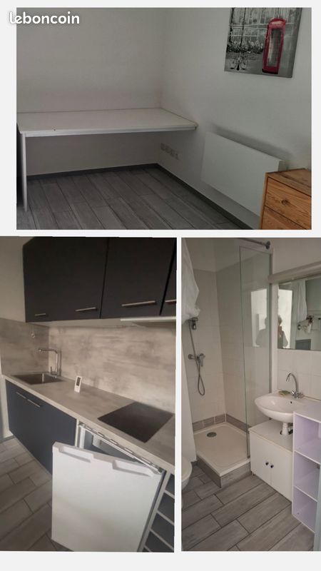 Appartement 1 pièce 30 m² · à Saint-Étienne · 30 m² · 490 €
