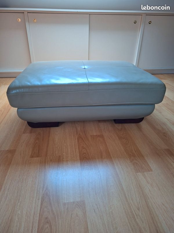 Pouf cuir pour salon (image 1)