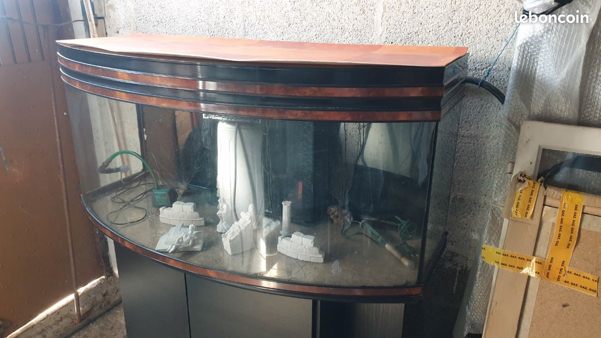 Aquarium (image 2)
