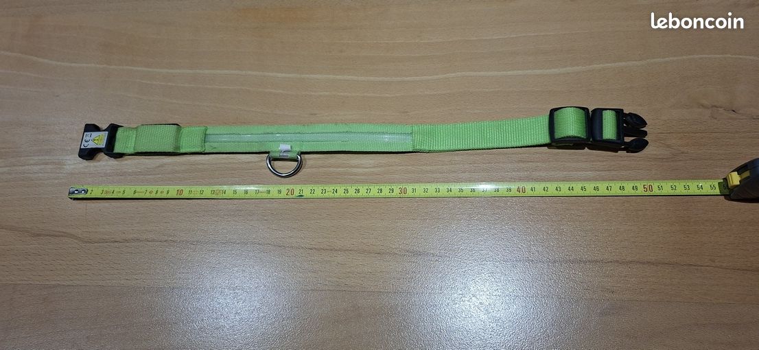 Collier chien lumineux (image 1)