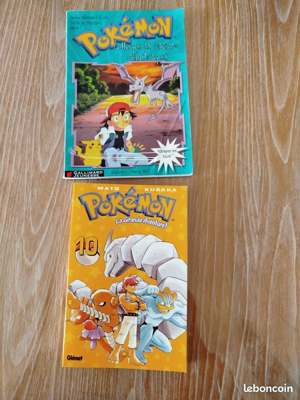 Livre pokemon (image 1)