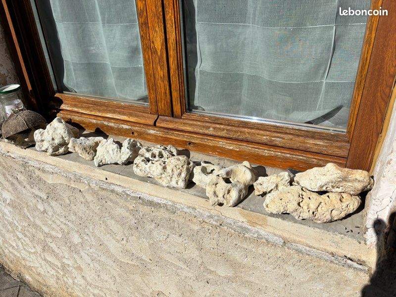 Rochers naturel aquarium (image 1)
