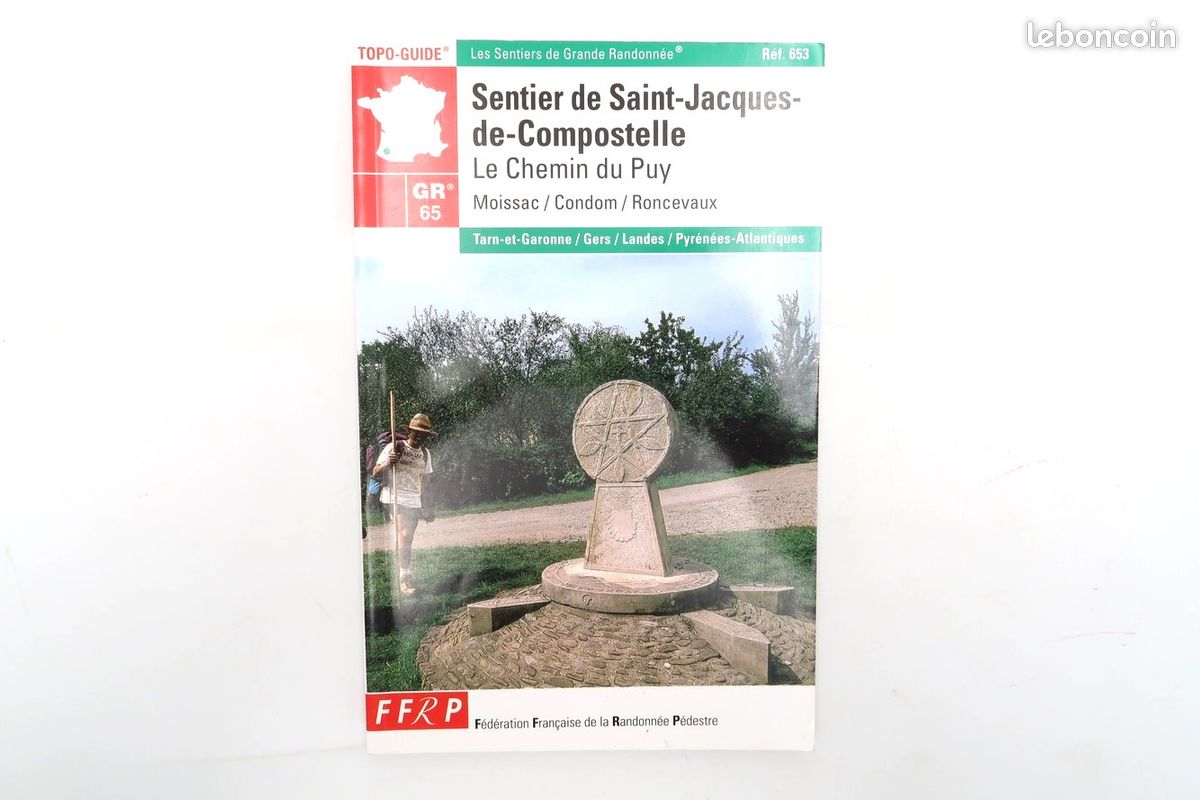 Sentier de St-Jacques-de-Compostelle Le Chemin du Puy - Moissac - Roncevaux - Topo-Guide - randonnée pédestre trekking balade topo-guide itinéraire carte GR traversée tourisme écologie (image 1)