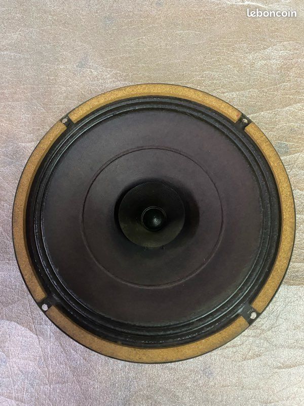 Haut parleur eliptique audax - Photo, audio & vidéo
