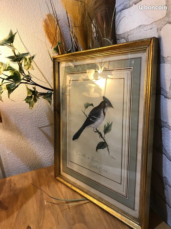 Tableau oiseau (image 3)