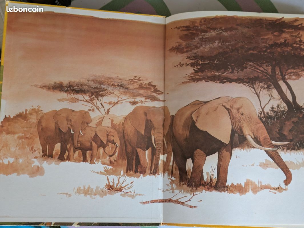 Livre ancien illustré – Chasseurs sans armes – André Lefèvre (image 4)