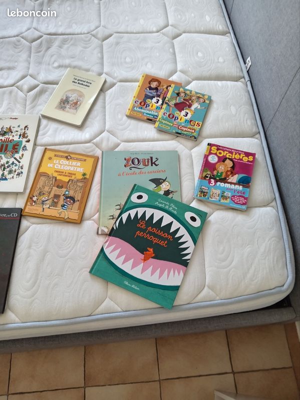Livres jeunesse (image 1)