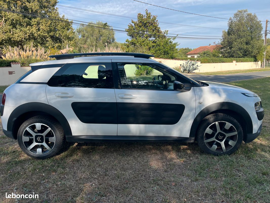 Citroen C4 Cactus (image 3)