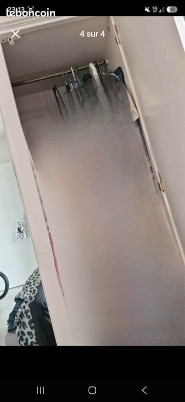 Armoire en bois laqué (image 4)