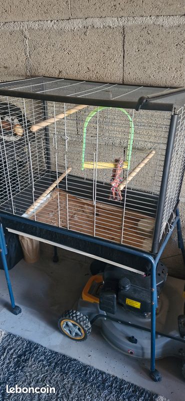 Cage a oiseaux (image 3)