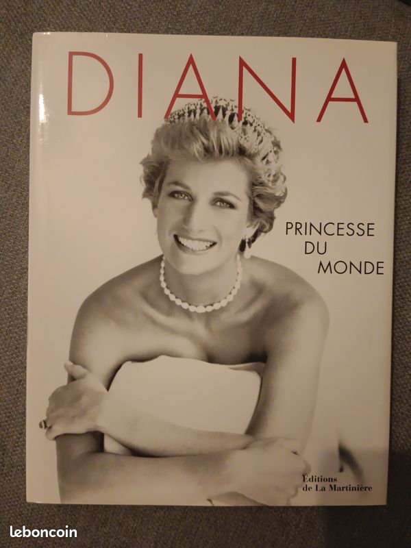 Diana Princesse du monde (image 2)
