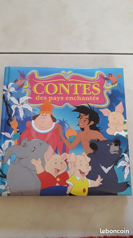 Livre contes des pays enchantés (image 2)