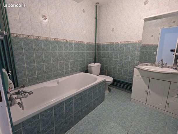 https://img.leboncoin.fr/api/v1/lbcpb1/images/d4/79/b3/d479b364611731d448be77a2f0c014a1c4c8af77.jpg?rule=ad-image