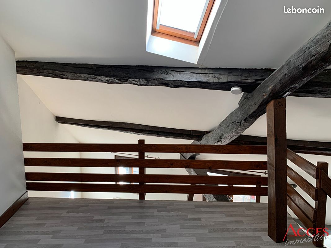 Appartement 1 pièce 42 m² - Limoges 87000 (image principale 4)