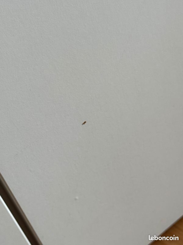 Meuble TV IKEA BESTÅ blanc – 3 portes (image 3)