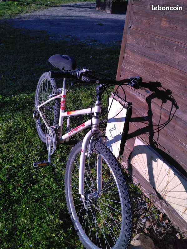 Vtt (image 1)